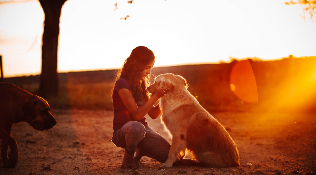 assicurazione animali domestici