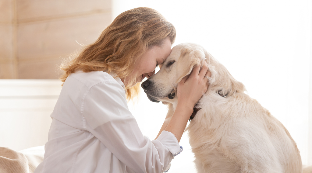 assicurare un animale domestico: un gesto che parla di noi