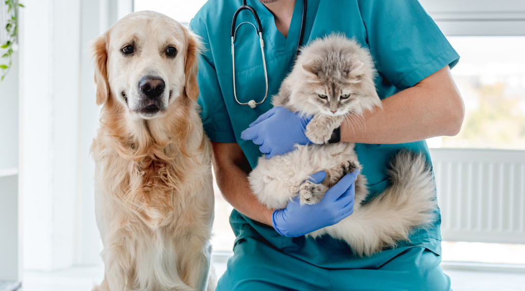 Quanto costa vivere con un animale domestico